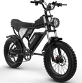Ridstar Electric Bike for Adults 1500w 33mph,48v 20ah Electric Bicycle,20″ Fat Tire,7-Speed Mountain Bike Ul2849