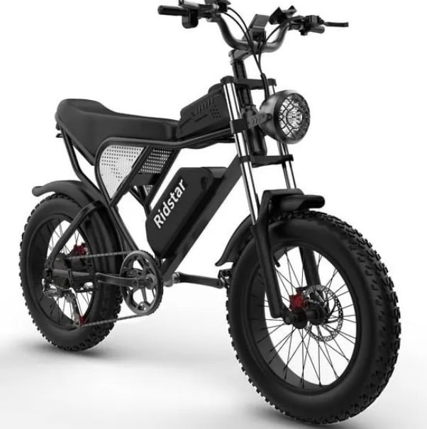 Ridstar Electric Bike for Adults 1500w 33mph,48v 20ah Electric Bicycle,20″ Fat Tire,7-Speed Mountain Bike Ul2849